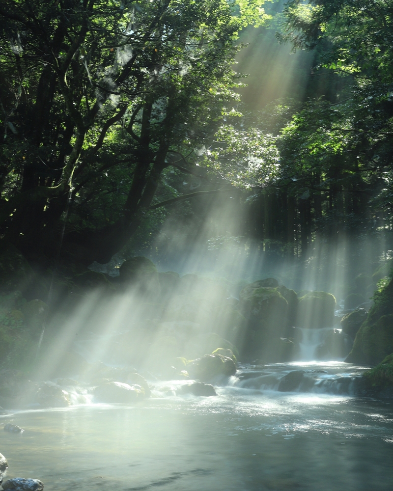 光芒シャー しがのフォトコン しがのフォトコン