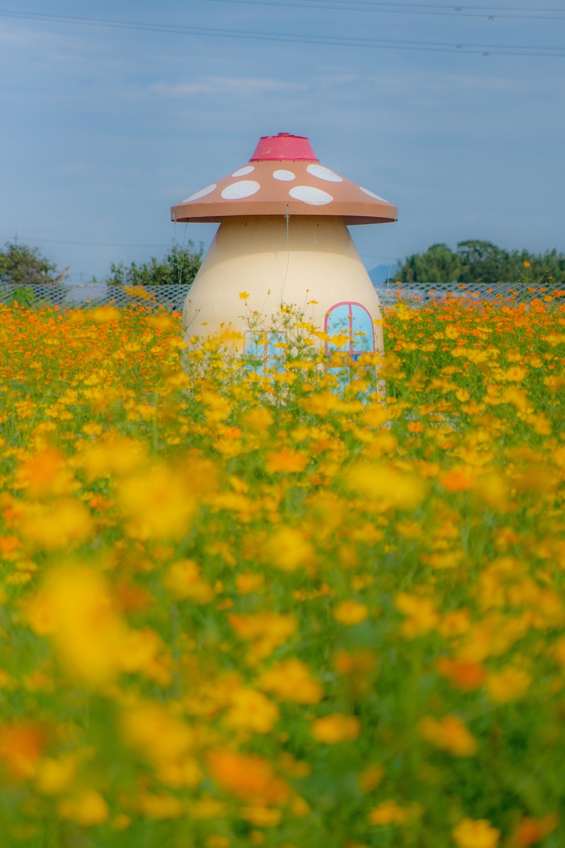 秋うららか しがのフォトコン しがのフォトコン