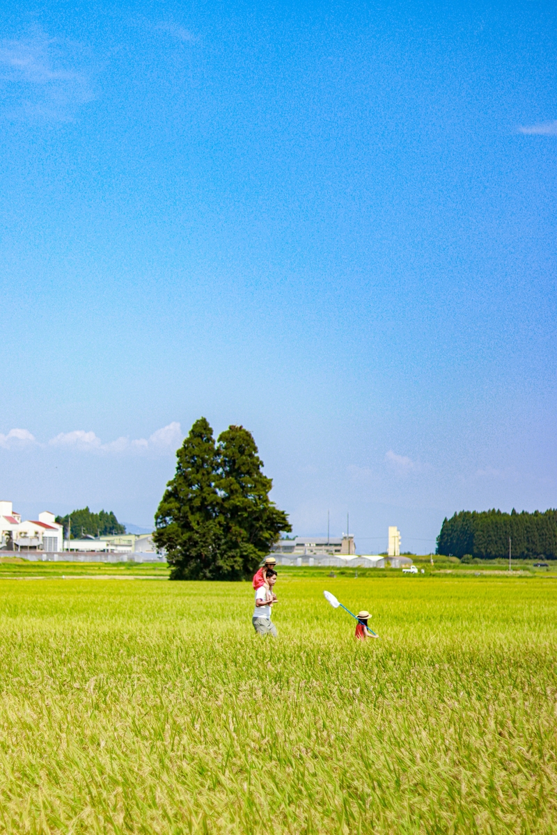 トトロはいるもん しがのフォトコン しがのフォトコン