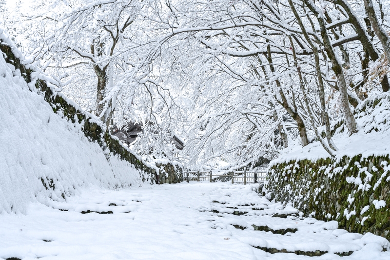雪の百済寺 しがのフォトコン しがのフォトコン