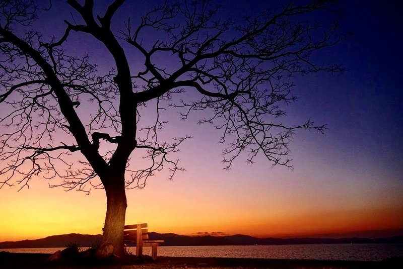 あの日の夕日 あのベンチの夕焼け】 | 【しがのフォトコン!!2020】 | しがのフォトコン!!