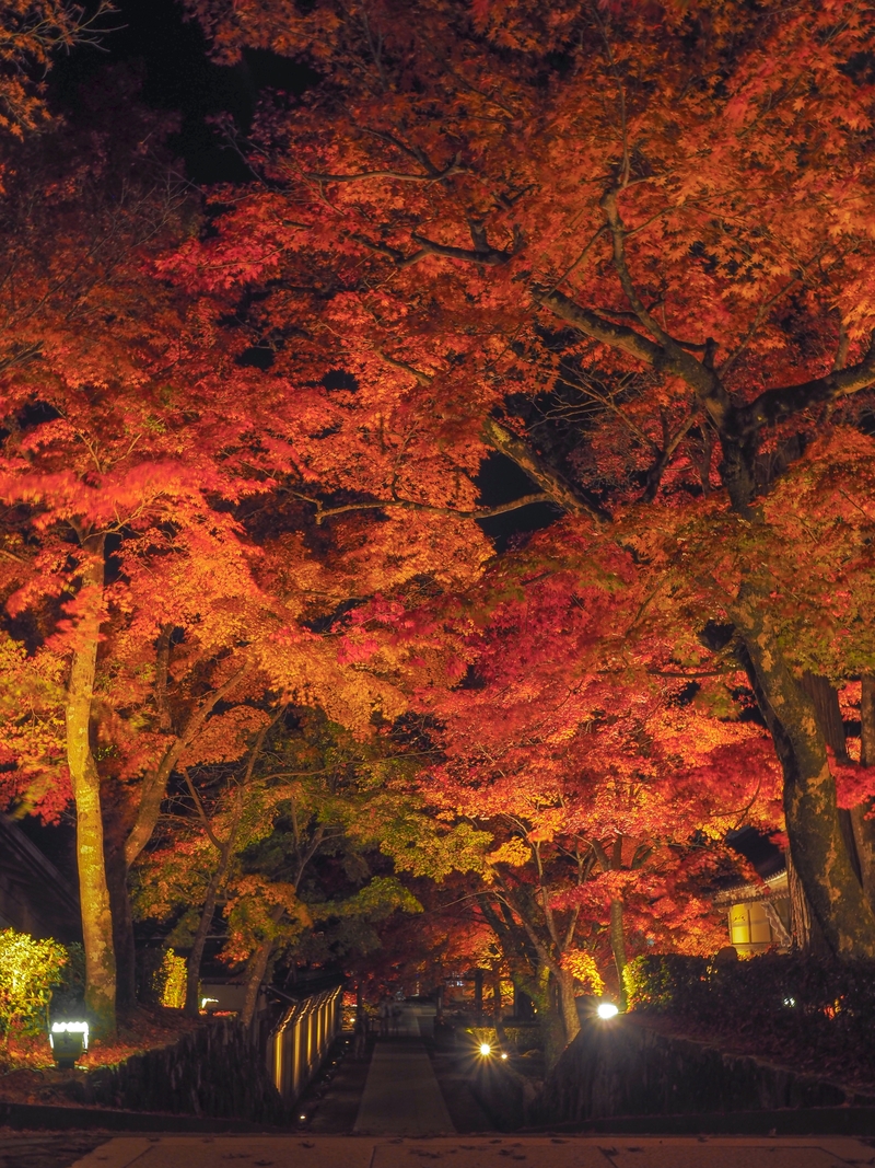 永源寺の紅葉ライトアップ しがのフォトコン しがのフォトコン