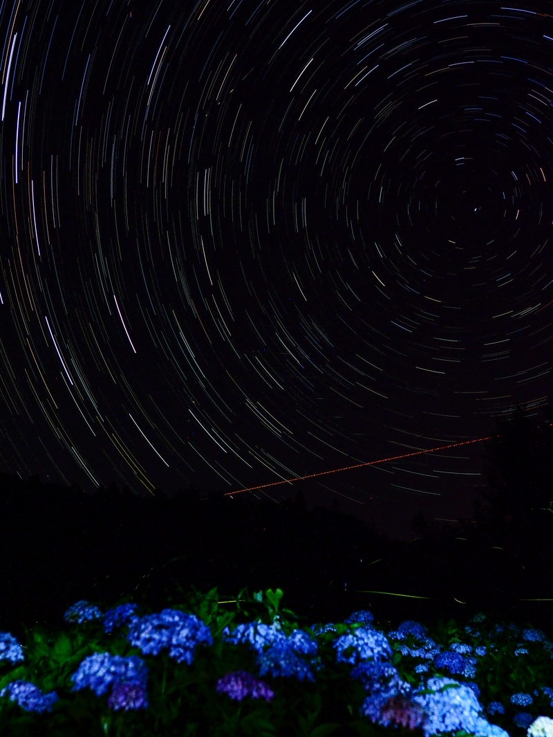 星と蛍と紫陽花と しがのフォトコン しがのフォトコン