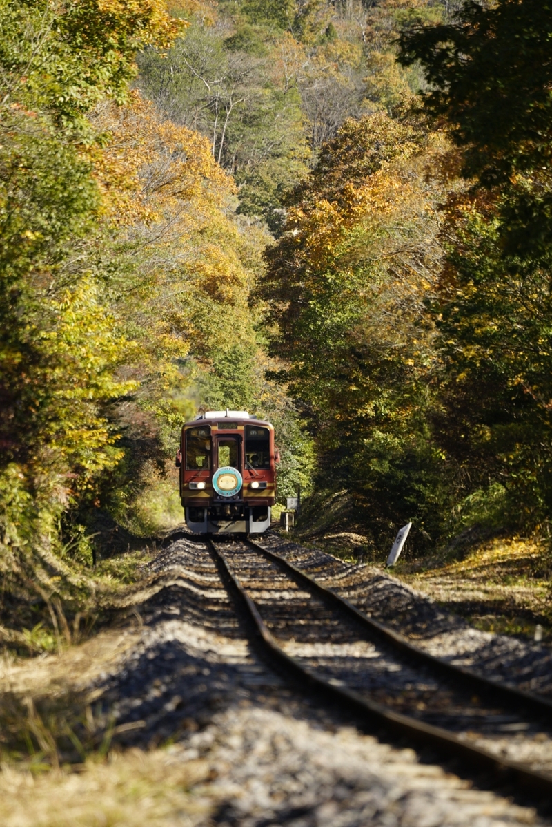 紅葉の信楽高原鉄道 しがのフォトコン しがのフォトコン