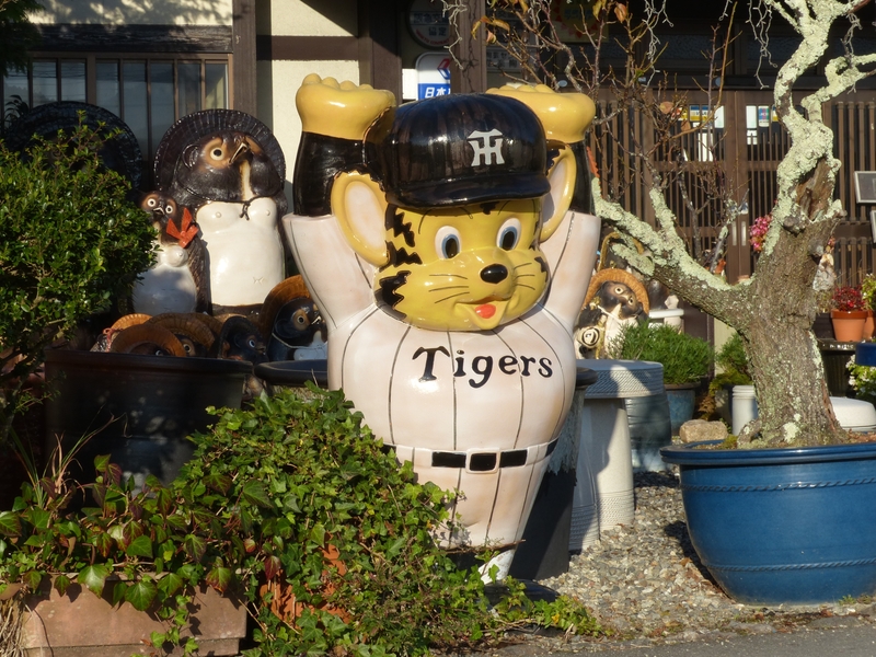 信楽のトラッキー しがのフォトコン 19 しがのフォトコン