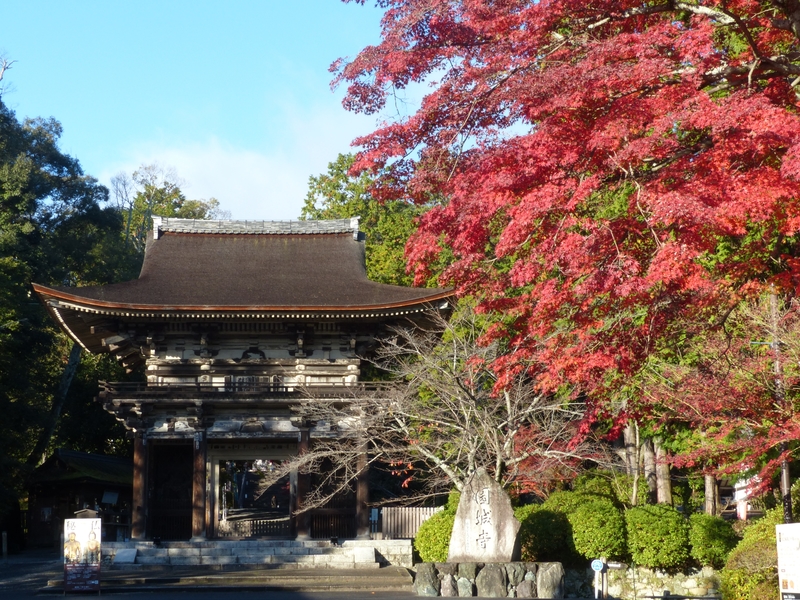 三井寺の紅葉 しがのフォトコン 19 しがのフォトコン