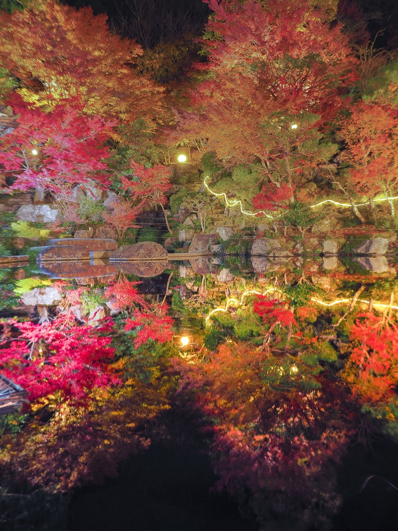 百済寺の紅葉ライトアップ しがのフォトコン 19 しがのフォトコン