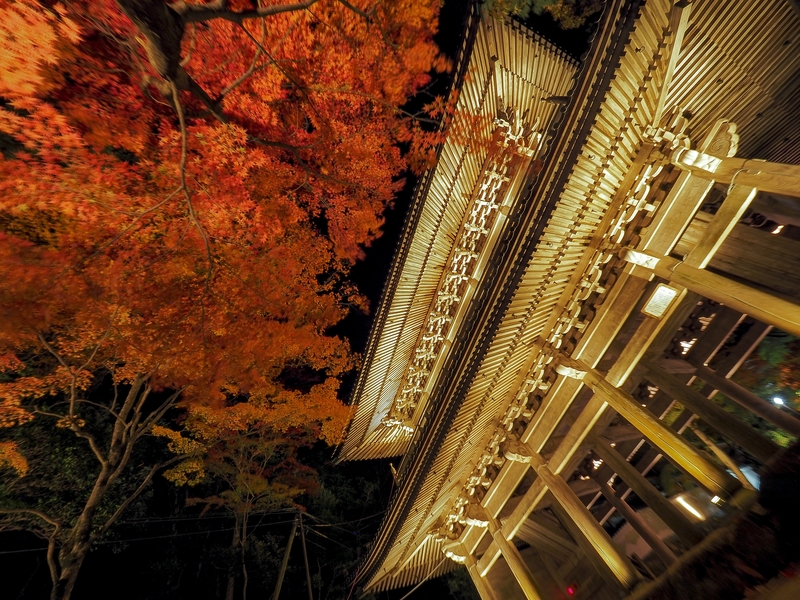 永源寺紅葉ライトアップ しがのフォトコン 19 しがのフォトコン